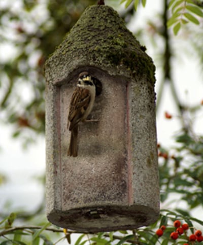 Mobirise Website Builder